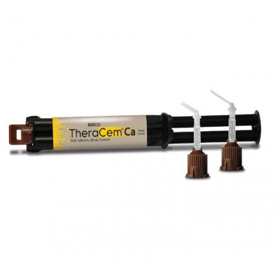 TheraCem Ca Automix 8gr Bisco