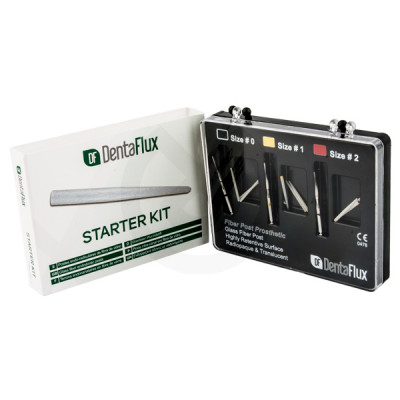 Perni in fibra di vetro Starter Kit Dentaflux